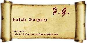Holub Gergely névjegykártya